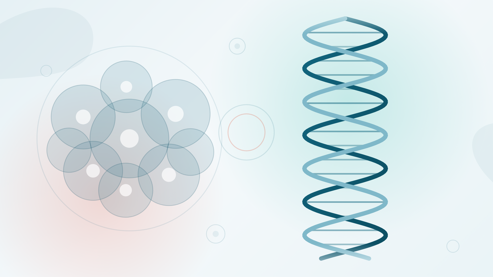 Minh hoạ tế bào máu và chuỗi xoắn kép DNA